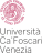 Logo_Università_Ca'_Foscari_Venezia.svg